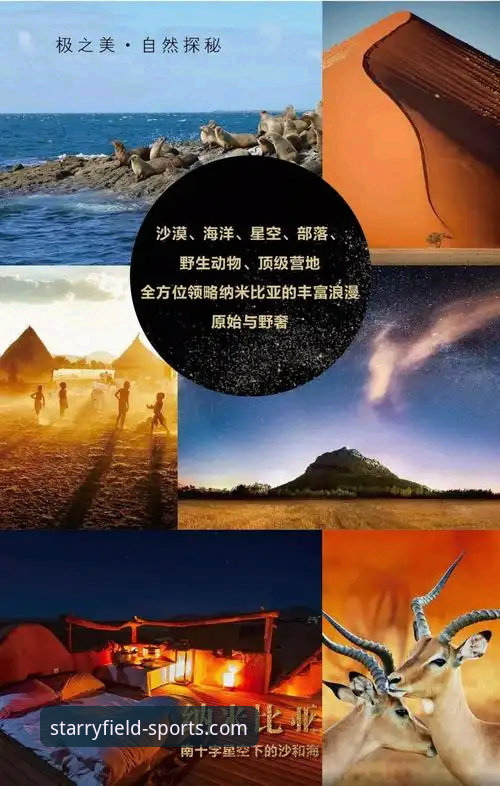 揭秘星空体育手机版安卓版背后的真相：老用户亲测3年的深度体验