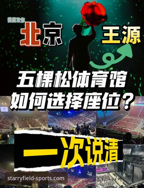 如何顺利完成星空体育官方资讯安装教程？从下载到体验的完整指南
